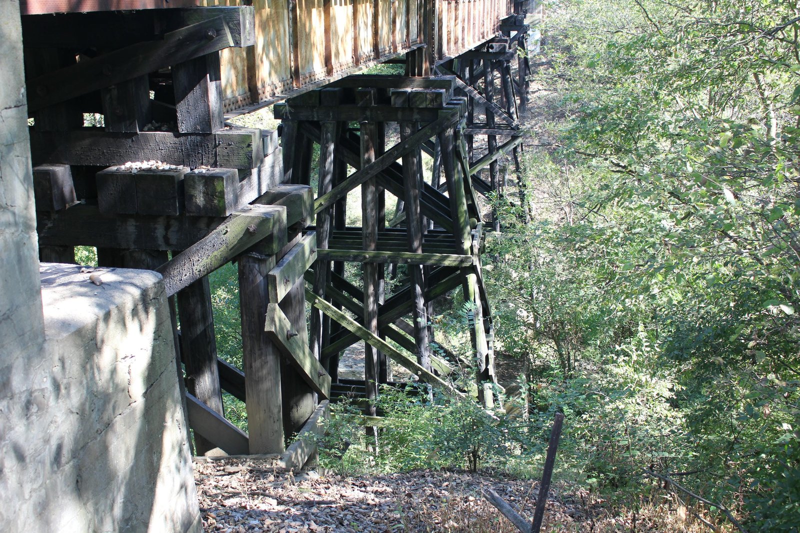 Pier #3